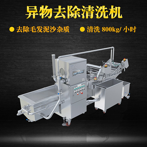 果蔬自動氣泡清洗機，清洗800kg小時，果蔬自動氣泡清洗機